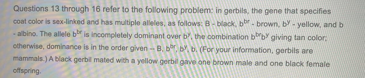 Questions 13 through 16 refer to the following problem: in gerbils, the gene that specifies
coat color is sex-linked and has multiple alleles, as follows: B - black, bor - brown, b’ - yellow, and b
- albino. The allele bor is incompletely dominant over by, the combination bºb giving tan color;
otherwise, dominance is in the order given -- B, bor, bY, b. (For your information, gerbils are
mammals.) A black gerbil mated with a yellow gerbil gave one brown male and one black female
offspring.
