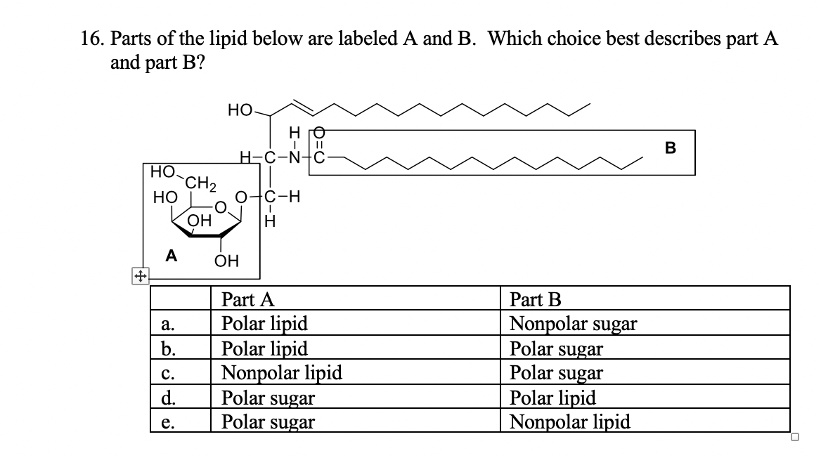 16. Parts of the lipid below are labeled A and B. Which choice best describes part A
and part B?
Но.
но
H-C-N+C
Но.
CH2
НО
онс-н
ОН
н
ОН
Part A
Part B
Polar lipid
Polar lipid
Nonpolar lipid
Polar sugar
Polar sugar
onpolar sugar
Polar sugar
Polar sugar
b.
c.
Polar lipid
Nonpolar lipid
d.
e.
