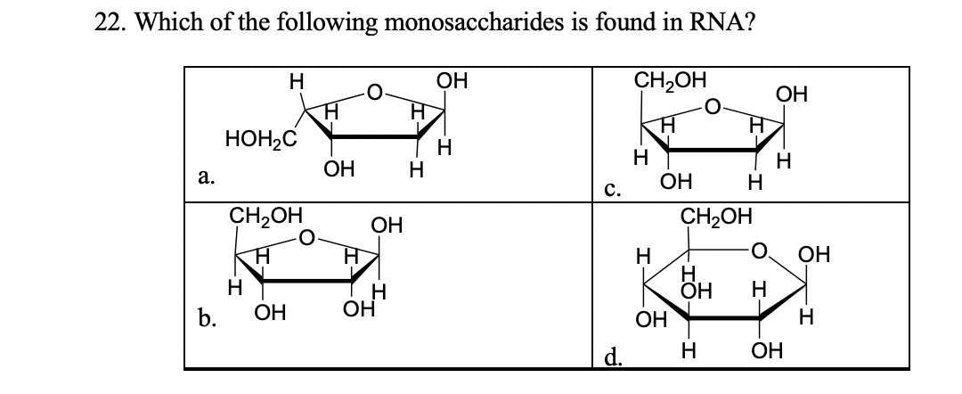 22. Which of the following monosaccharides is found in RNA?
Н
ОН
CH2OH
ОН
НОН-C
Н
Н
Н
Н
Н
ОН
a.
ОН
c.
CH2OH
ОН
CH2OH
Н
ОН
Вн
Н
Н
Н
ОН
b.
ОН
ОН
Н
d.
Н
ОН
