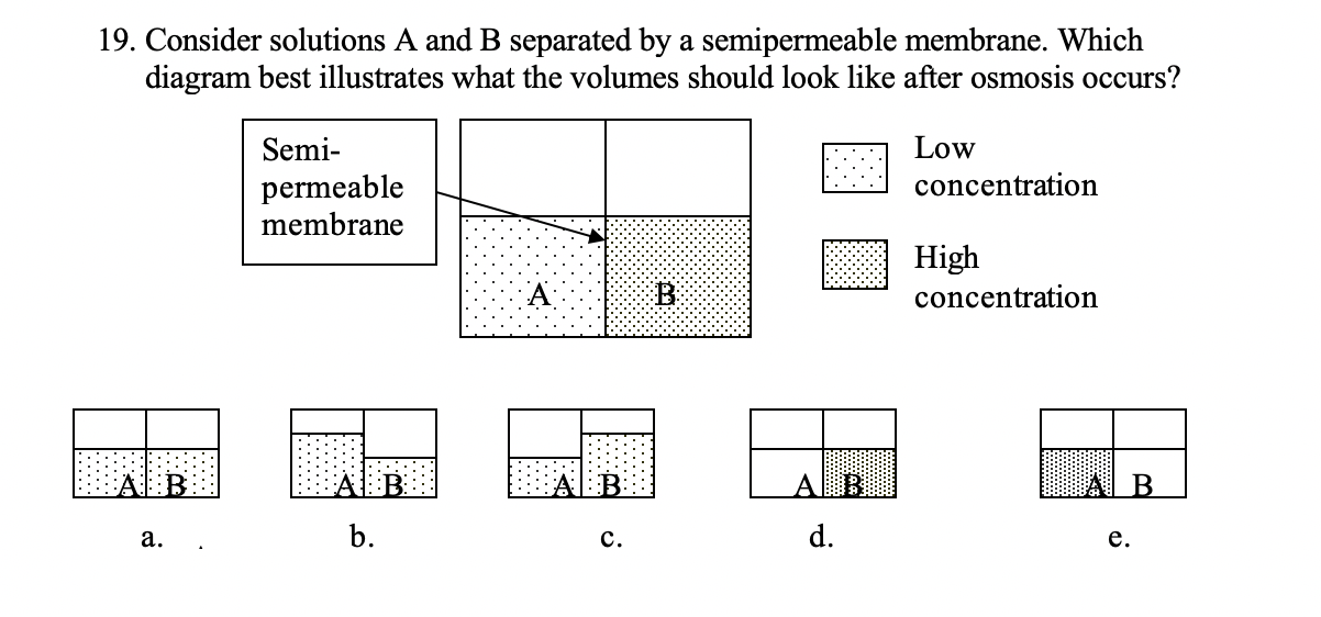 19. Consider solutions A and B separated by a semipermeable membrane. Which
diagram best illustrates what the volumes should look like after osmosis occurs?
Semi-
Low
concentration
permeable
membrane
High
concentration
B
a.
b.
c.
d.
e.
