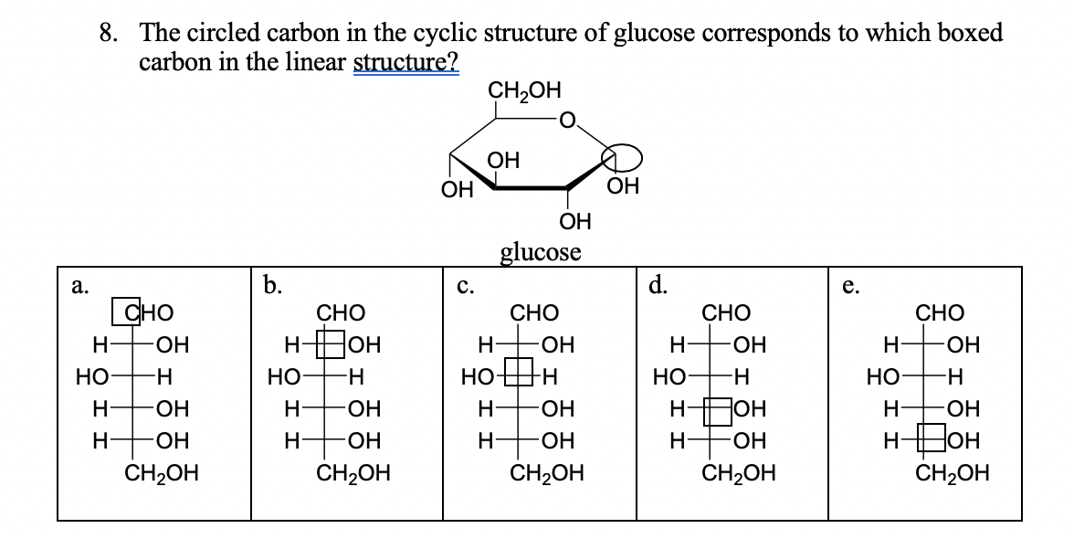 8. The circled carbon in the cyclic structure of glucose corresponds to which boxed
carbon in the linear structure?
CH2OH
ОН
ОН
ОН
ОН
glucose
a.
b.
c.
d.
e.
CHO
СНО
СНО
СНО
СНО
HHOH
H FOH
но н
Н-
HO-
Н
HO-
Н— он
Но—Н
НО
H-
НО-
H-
НО
H-
ОН
Н+он
H-HOH
Н-
-ОН
Н
ОН
Н
Н
ОН
НДОН
Н
ОН
Н
-ОН
Н
ОН
CH2OH
CH2OH
CH2OH
CH2OH
CH2OH
