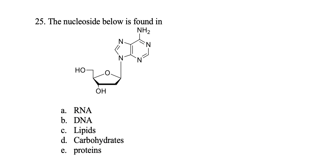 25. The nucleoside below is found in
NH2
N.
НО
ОН
a. RNA
b. DNA
c. Lipids
d. Carbohydrates
e. proteins

