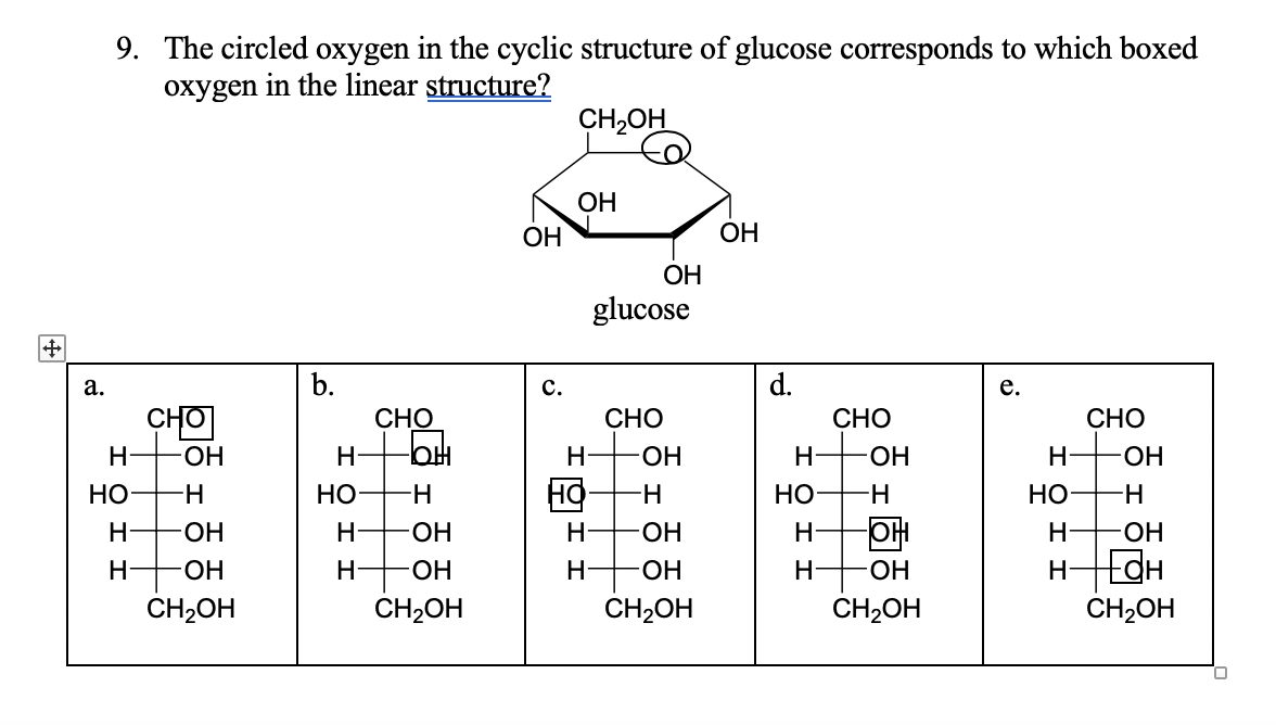 9. The circled oxygen in the cyclic structure of glucose corresponds to which boxed
oxygen in the linear structure?
CH2OH
ОН
ОН
Он
ОН
glucose
a.
b.
c.
d.
e.
СНО
CHO
-ОН
CHO
СНО
СНО
Н
Н
-ОН
H-
-ОН
Н-
-ОН
НО
-Н
НО
H-
Но
н
НО
H-
Но
H-
Н-
-ОН
Н-
—ОН
Н
ОН
Н
Н-
ОН
Н
HO-
Н-
HO-
Н-
-ОН
Н
HO-
CH2OH
CH2OH
CH2OH
CH2OH
CH2OH

