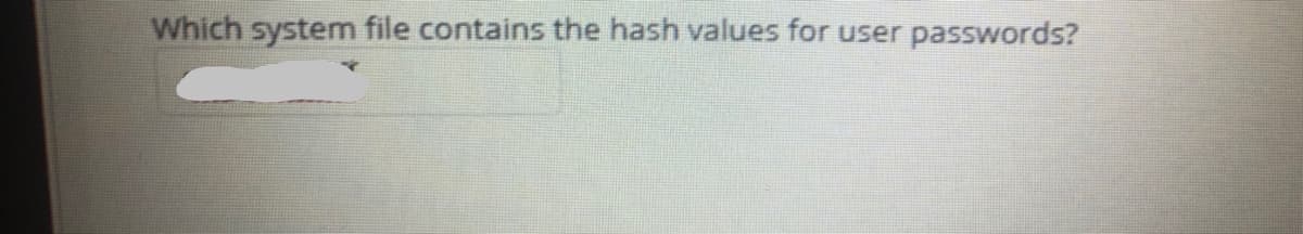 Which system file contains the hash values for user passwords?
