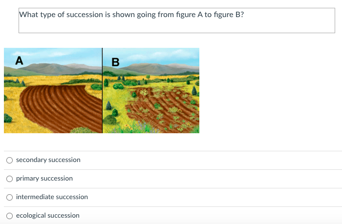 What type of succession is shown going from figure A to figure B?
B
secondary succession
primary succession
intermediate succession
O ecological succession
