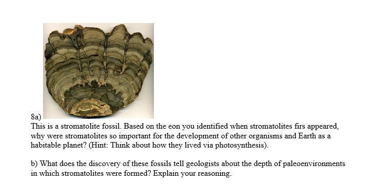 8a)
This is a stromatolite fossil. Based on the eon you identified when stromatolites firs appeared,
why were stromatolites so important for the development of other organisms and Earth as a
habitable planet? (Hint: Think about how they lived via photosynthesis).
b) What does the discovery of these fossils tell geologists about the depth of paleoenvironments
in which stromatolites were formed? Explain your reasoning.