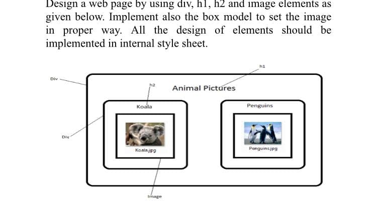 Design a web page by using div, hl, h2 and image elements as
given below. Implement also the box model to set the image
in proper way. All the design of elements should be
implemented in internal style sheet.
hi
Div
Animal Pictures
Koala
Penguins
Div
Koalajpg
Penguinsjpg
Image
