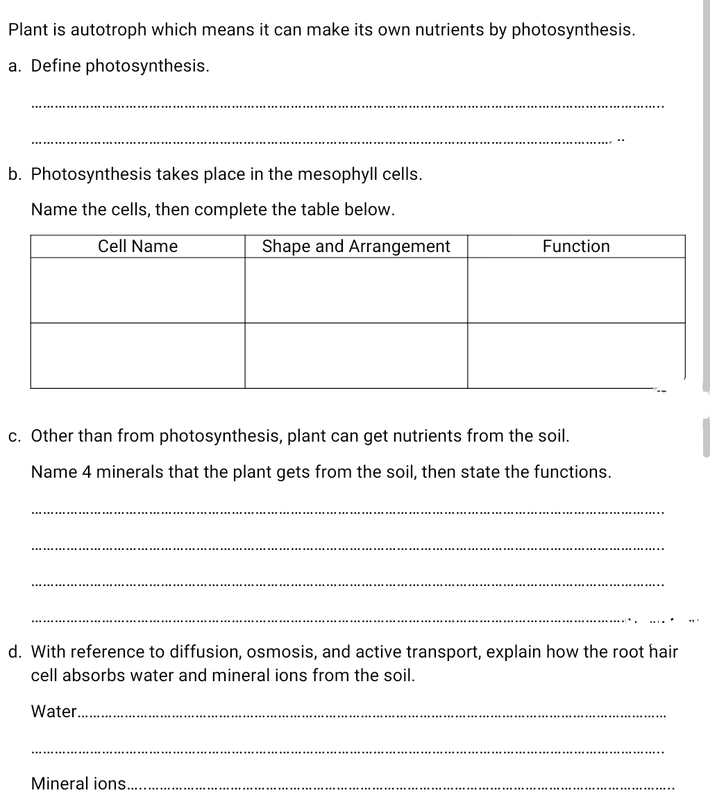 Plant is autotroph which means it can make its own nutrients by photosynthesis.
a. Define photosynthesis.
b. Photosynthesis takes place in the mesophyll cells.
Name the cells, then complete the table below.
Cell Name
Shape and Arrangement
Function
c. Other than from photosynthesis, plant can get nutrients from the soil.
Name 4 minerals that the plant gets from the soil, then state the functions.
d. With reference to diffusion, osmosis, and active transport, explain how the root hair
cell absorbs water and mineral ions from the soil.
Water...
Mineral ions..
