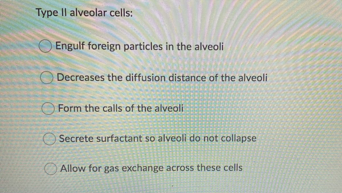 Type Il alveolar cells:
Engulf foreign particles in the alveoli
Decreases the diffusion distance of the alveoli
Form the calls of the alveoli
Secrete surfactant so alveoli do not collapse
Allow for gas exchange across these cells