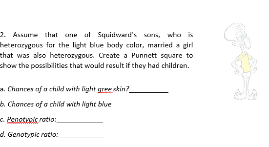 2. Assume that one of Squidward's sons, who is
heterozygous for the light blue body color, married a girl
that was also heterozygous. Create a Punnett square to
show the possibilities that would result if they had children.
a. Chances of a child with light gree skin?
b. Chances of a child with light blue
c. Penotypic ratio:
d. Genotypic ratio:
