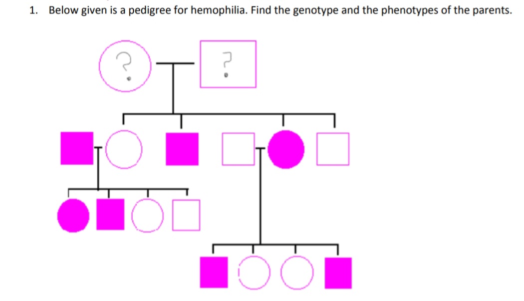 1.
Below given is a pedigree for hemophilia. Find the genotype and the phenotypes of the parents.
