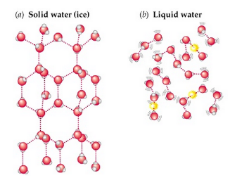 (m) Solid water (ice)
(b) Liquid water
