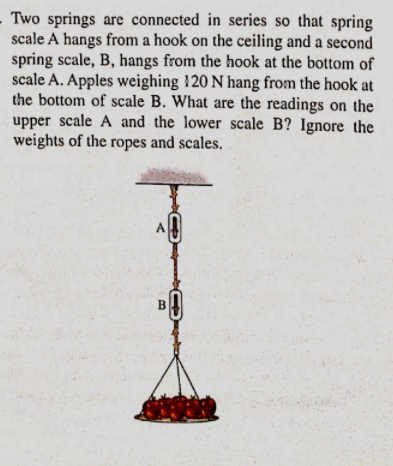 - Two springs are connected in series so that spring
scale A hangs from a hook on the ceiling and a second
spring scale, B, hangs from the hook at the bottom of
scale A. Apples weighing 120 N hang from the hook at
the bottom of scale B. What are the readings on the
upper scale A and the lower scale B? Ignore the
weights of the ropes and scales.
A
