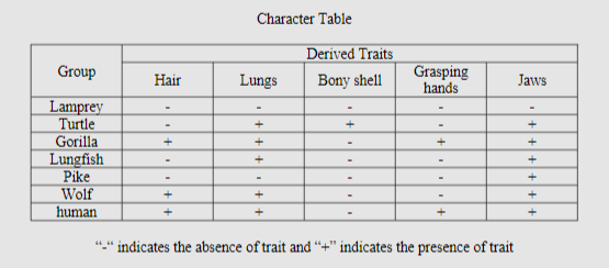Character Table
Derived Traits
Group
Grasping
hands
Hair
Lungs
Bony shell
Jaws
Lamprey
Turtle
Gorilla
Lungfish
Pike
Wolf
+
+
+
human
"." indicates the absence of trait and '
indicates the presence of trait
