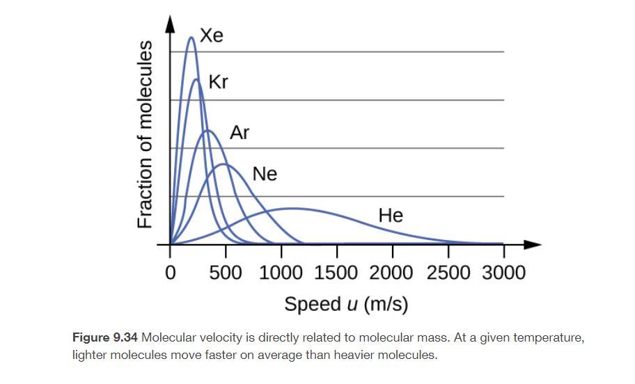 Хе
Kr
Ar
Ne
Не
500 1000 1500 2000 2500 3000
Speed u (m/s)
Figure 9.34 Molecular velocity is directly related to molecular mass. At a given temperature,
lighter molecules move faster on average than heavier molecules.
Fraction of molecules
