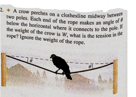 2. + A crow perches on a clothesline midway between
below the horizontal where it connects to the pole. I
2. * A crow perches on a clothesline midway between
two poles. Each end of the rope makes an angle o if
the weight of the crow is W, what is the tension In u
rope? Ignore the weight of the rope.
