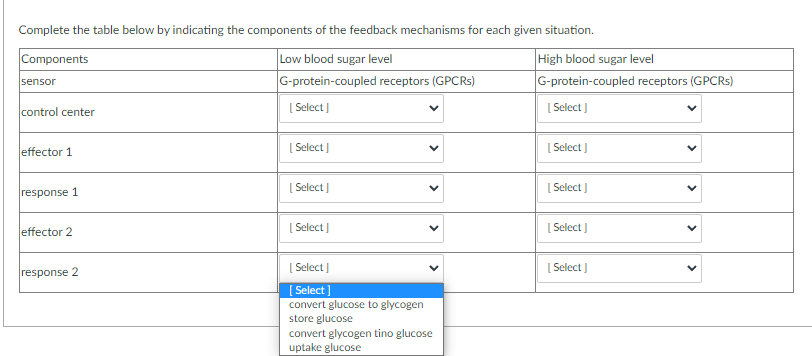 Complete the table below by indicating the components of the feedback mechanisms for each given situation.
Low blood sugar level
G-protein-coupled receptors (GPCRS)
Components
High blood sugar level
sensor
G-protein-coupled receptors (GPCRS)
control center
[ Select )
[ Select )
effector 1.
[ Select]
[ Select )
response 1
[ Select ]
[ Select )
ffector 2
[ Select )
[ Select )
response 2
[ Select )
[ Select ]
[ Select]
convert glucose to glycogen
store glucose
convert glycogen tino glucose
uptake glucose
>
>
>
>
