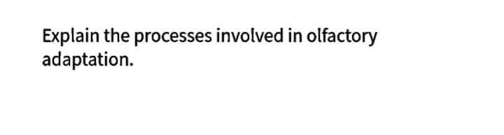 Explain the processes involved in olfactory
adaptation.
