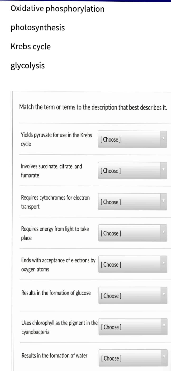 Oxidative phosphorylation
photosynthesis
Krebs cycle
glycolysis
Match the term or terms to the description that best describes it.
Yields pyruvate for use in the Krebs
[Choose ]
cycle
Involves succinate, citrate, and
[Choose]
fumarate
Requires cytochromes for electron
[ Choose]
transport
Requires energy from light to take
place
[Choose]
Ends with acceptance of electrons by
[ Choose ]
oxygen atoms
Results in the formation of glucose
[
[ Choose ]
Uses chlorophyll as the pigment in the
[ Choose]
cyanobacteria
Results in the formation of water
[ Choose ]
