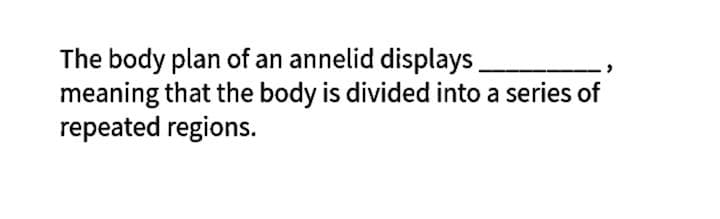 The body plan of an annelid displays
meaning that the body is divided into a series of
repeated regions.
