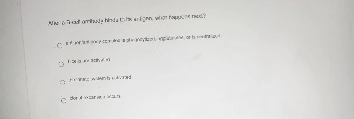 After a B-cell antibody binds to its antigen, what happens next?
antigen/antibody complex is phagocytized, agglutinates, or is neutralized
T-cells are activated
the innate system is activated
clonal expansion occurs