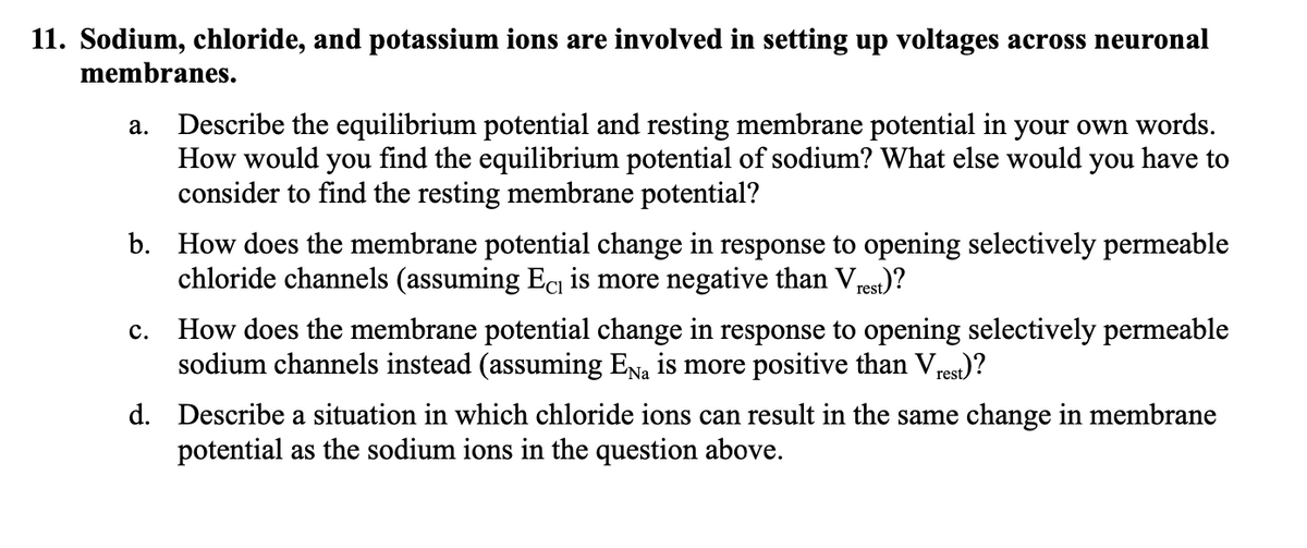 11. Sodium, chloride, and potassium ions are involved in setting up voltages across neuronal
membranes.
a. Describe the equilibrium potential and resting membrane potential in your own words.
How would you find the equilibrium potential of sodium? What else would you have to
consider to find the resting membrane potential?
b. How does the membrane potential change in response to opening selectively permeable
chloride channels (assuming Ec is more negative than Vrest)?
C. How does the membrane potential change in response to opening selectively permeable
sodium channels instead (assuming Ena is more positive than Vrest)?
d. Describe a situation in which chloride ions can result in the same change in membrane
potential as the sodium ions in the question above.