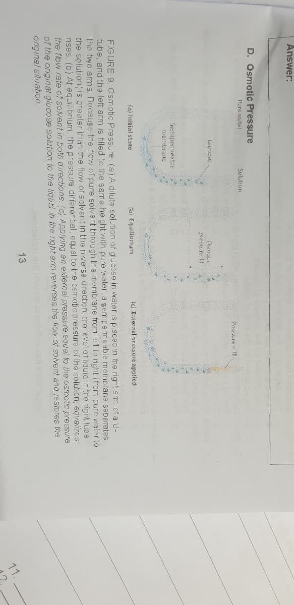 Answer:
D. Osmotic Pressure
Pure water
Solution
Pressure f1.
pressure if
Spertipermeable
(a) Imhnial state
(b) Equiliarium
ig Enternal peusSure applied
FIGURE 9. Osmotic Pressure. (a)A dilute solution of glucose in wateris placed in the right am of a U-
tube, and the left arm is filled to the same height with pure water, a semipermeable membrane seperates
the two ams Because the flow of pure solvent through the membrane from left to right (from pure water to
the solution) is greater than the flow of solvent in the reverse direction, the level of liquid in the right tube
rises. (b) At equilibrium, the pressure differential, equal to the osmotic pressure of the solution, equalizes
the flow rete of solvent in both directions. (c) Applying an external pressure equal to the osmotic pressure
of the original glucose solution to the liguid in the right arm reverses the tlow of solvent and restores the
original situation.
ob non
13
11.
