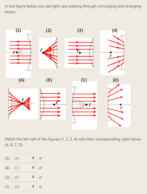 In the figure below you see light rays passing through converging and diverging
lenses.
(1)
(2)
(3)
(4)
(A)
(B)
(C)
(D)
Match the left half of the figures (1, 2. 3, 4) with their corresponding right halves
(A. B, C, D)
