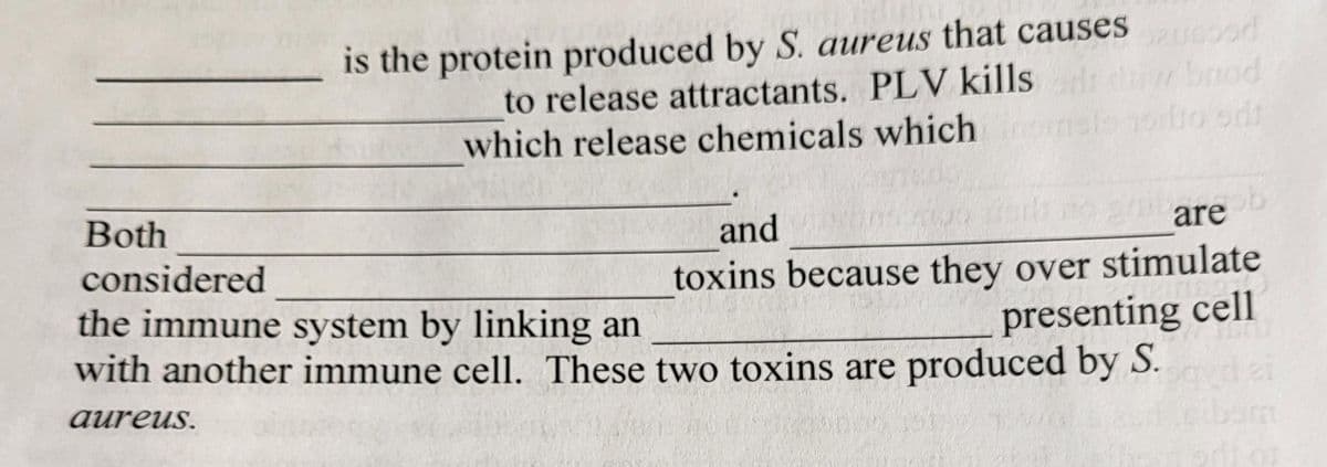 is the protein produced by S. aureus that causes od
to release attractants. PLV kills
which release chemicals which m
baod
are b
toxins because they over stimulate
Both
and
considered
the immune system by linking an
with another immune cell. These two toxins are produced by S.
presenting cell
аureus.

