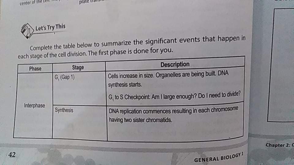 center of
Let's Try This
Complete the table below to summarize the significant events that happen in
each stage of the cell division. The first phase is done for you.
Stage
G, (Gap 1)
Phase
Description
Cells increase in size. Organelles are being built. DNA
synthesis starts.
G, to S Checkpoint: Am I large enough? Do I need to divide?
Interphase
Synthesis
DNA replication commences resulting in each chromosome
having two sister chromatids.
42
Chapter 2: C
GENERAL BIOLOGY1
