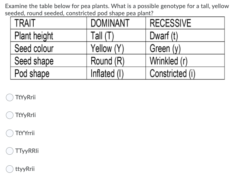 Examine the table below for pea plants. What is a possible genotype for a tall, yellow
seeded, round seeded, constricted pod shape pea plant?
TRAIT
RECESSIVE
Plant height
Seed colour
Seed shape
Pod shape
DOMINANT
Tall (T)
Yellow (Y)
Round (R)
Inflated (1)
Dwarf (t)
Green (y)
Wrinkled (r)
Constricted (i)
TtYyRrii
TtYyRrli
TtYYrrii
ttyyRrii
