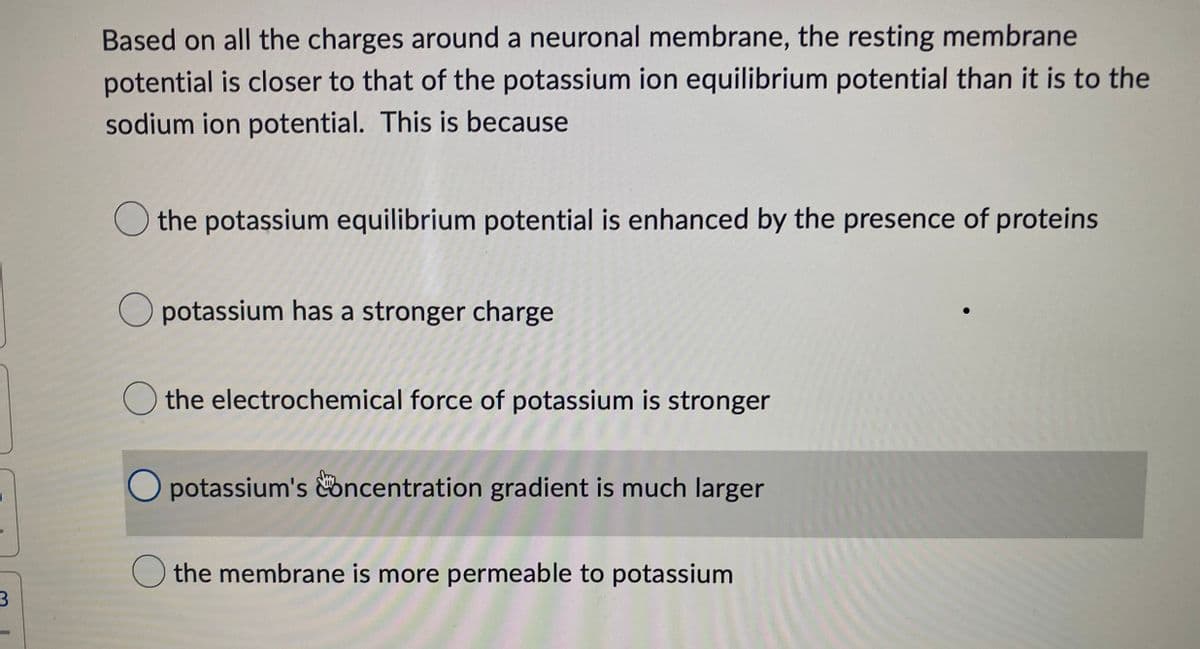 3
Based on all the charges around a neuronal membrane, the resting membrane
potential is closer to that of the potassium ion equilibrium potential than it is to the
sodium ion potential. This is because
the potassium equilibrium potential is enhanced by the presence of proteins
Opotassium has a stronger charge
the electrochemical force of potassium is stronger
potassium's concentration gradient is much larger
the membrane is more permeable to potassium