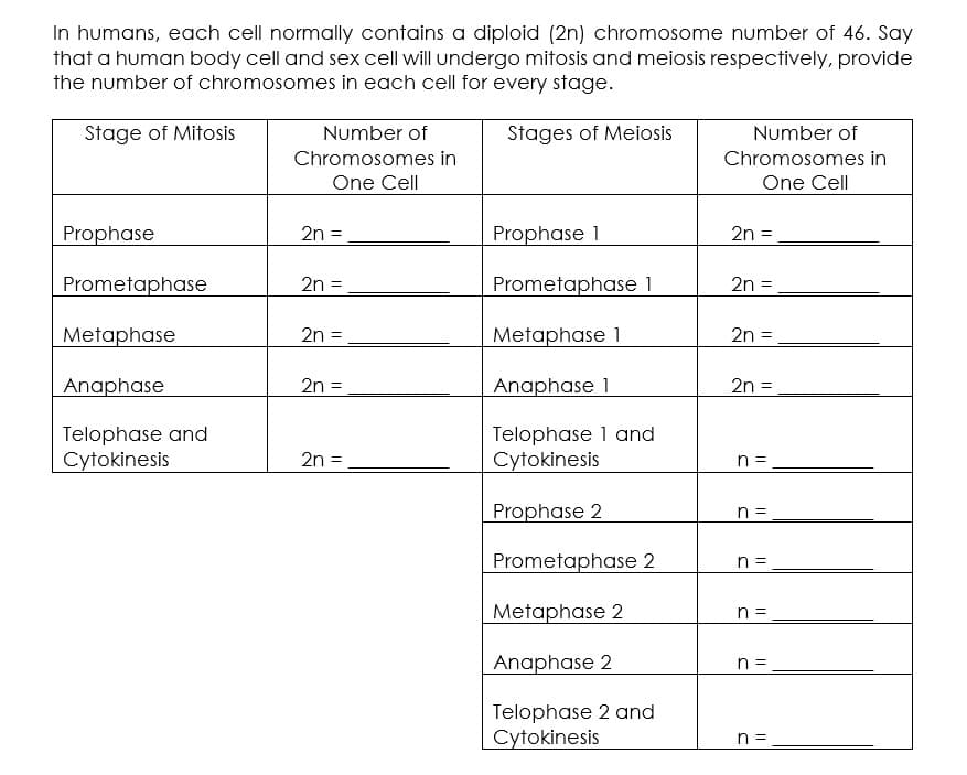 In humans, each cell normally contains a diploid (2n) chromosome number of 46. Say
that a human body cell and sex cell will undergo mitosis and meiosis respectively, provide
the number of chromosomes in each cell for every stage.
Stage of Mitosis
Number of
Stages of Meiosis
Number of
Chromosomes in
Chromosomes in
One Cell
One Cell
Prophase
2n =
Prophase 1
2n =
Prometaphase
2n =
Prometaphase 1
2n =
Metaphase
2n =
Metaphase 1
2n =
Anaphase
2n =
Anaphase 1
2n =
Telophase and
Cytokinesis
Telophase 1 and
Cytokinesis
2n =
n =
Prophase 2
Prometaphase 2
n =
Metaphase 2
n =
Anaphase 2
= u
Telophase 2 and
Cytokinesis
n =
