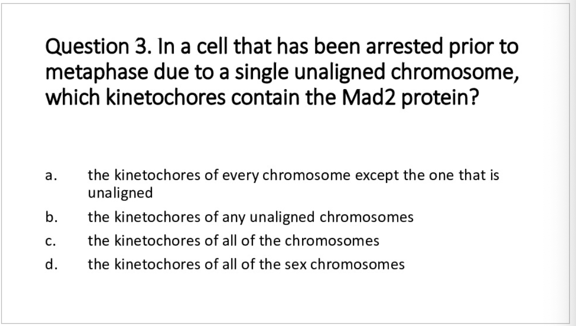 Question 3. In a cell that has been arrested prior to
metaphase due to a single unaligned chromosome,
which kinetochores contain the Mad2 protein?
the kinetochores of every chromosome except the one that is
unaligned
а.
b.
the kinetochores of any unaligned chromosomes
С.
the kinetochores of all of the chromosomes
d.
the kinetochores of all of the sex chromosomes
