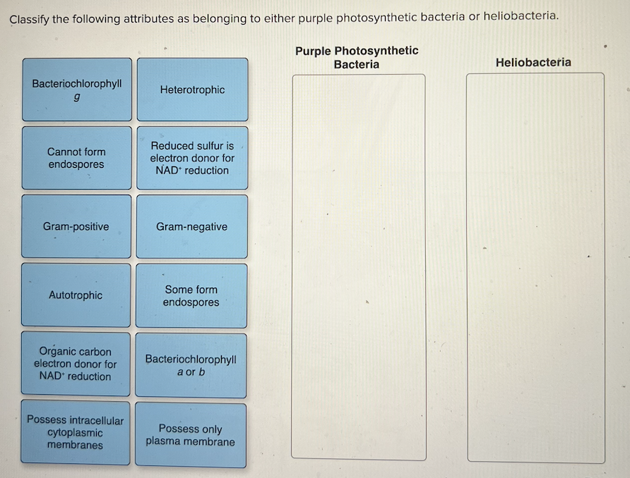 Classify the following attributes as belonging to either purple photosynthetic bacteria or heliobacteria.
Purple Photosynthetic
Bacteria
Heliobacteria
Bacteriochlorophyll
g
Heterotrophic
Cannot form
endospores
Reduced sulfur is
electron donor for
NAD* reduction
Gram-positive
Gram-negative
Autotrophic
Some form
endospores
Organic carbon
electron donor for
NAD* reduction
Bacteriochlorophyll
a or b
Possess intracellular
cytoplasmic
Possess only
plasma membrane
membranes