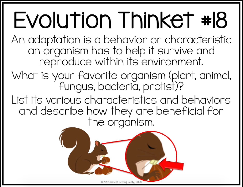 Evolution Thinket #18
An adaptation is a behavior or characteristic
an organism has to help it survive and
reproduce within its environment.
What is your favorite organism (plant, animal,
fungus, bacteria, protist)?
List its various characteristics and behaviors
and describe how they are beneficial for
the organism.
O 2012-present Getting Nerdy, LLCO
