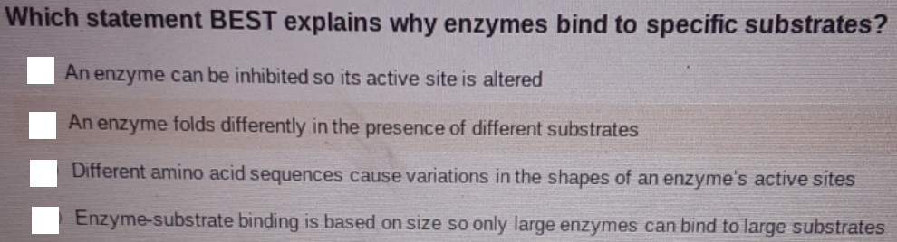Which statement BEST explains why enzymes bind to specific substrates?
An enzyme can be inhibited so its active site is altered
An enzyme folds differently in the presence of different substrates
Different amino acid sequences cause variations in the shapes of an enzyme's active sites
Enzyme-substrate binding is based on size so only large enzymes can bind to large substrates
