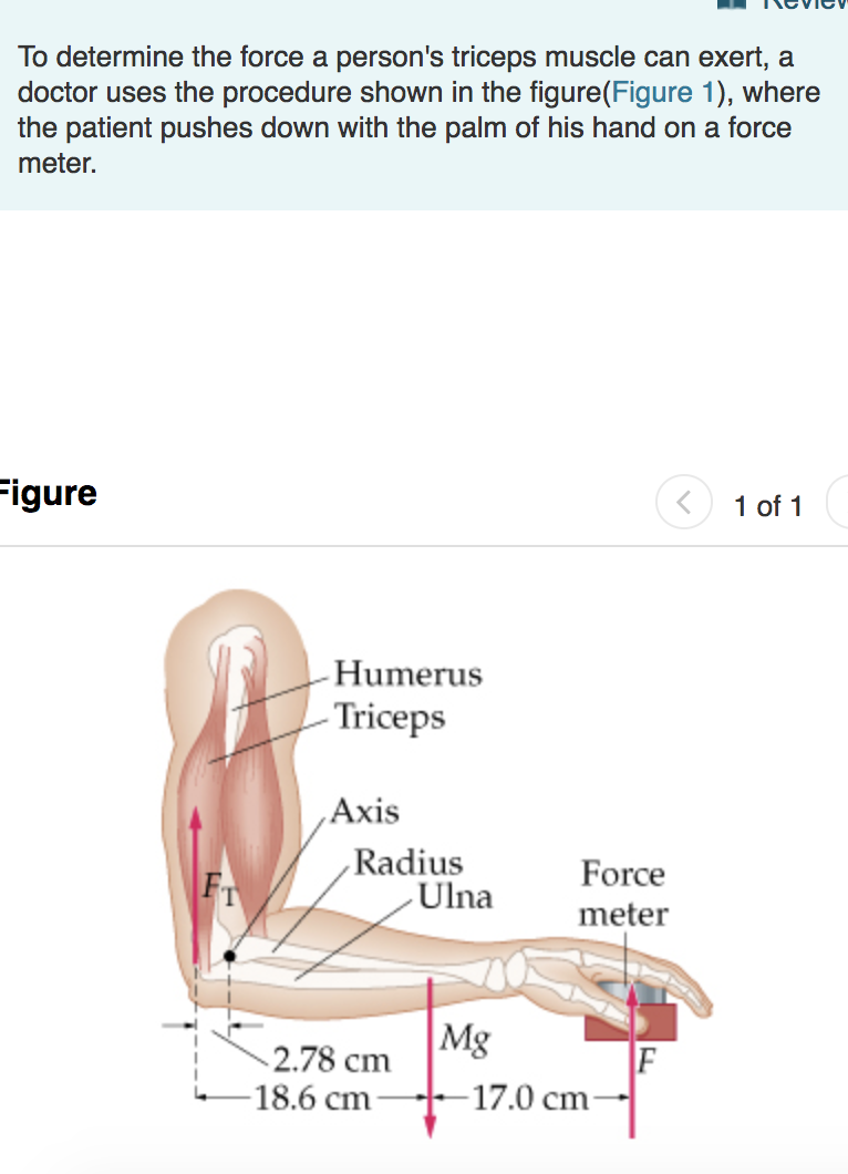 To determine the force a person's triceps muscle can exert, a
doctor uses the procedure shown in the figure(Figure 1), where
the patient pushes down with the palm of his hand on a force
meter.
igure
〈 1 of 1
Humerus
Triceps
Axis
Radius
Ulna Fore
meter
2.78 cmMg
18.6 cm
17.0 cm
