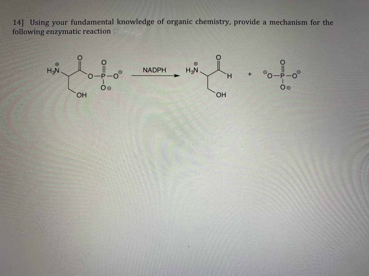 14] Using your fundamental knowledge of organic chemistry, provide a mechanism for the
following enzymatic reaction
H3N
NADPH
H;N
H.
HO.
OH
