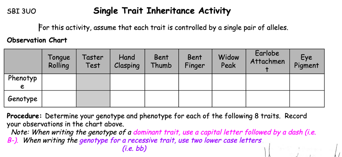 SBI 3U0
Single Trait Inheritance Activity
For this activity, assume that each trait is controlled by a single pair of alleles.
Observation Chart
Tongue
Rolling
Widow
Peak
Earlobe
Attachmen
Eye
Pigment
Taster
Hand
Bent
Thumb
Bent
Test
Clasping
Finger
Phenotyp
e
Genotype
Procedure: Determine your genotype and phenotype for each of the following 8 traits. Record
your observations in the chart above.
Note: When writing the genotype of a dominant trait, use a capital letter followed by a dash (i.e.
B-). When writing the genotype for a recessive trait, use two lower case letters
(i.e. bb)
