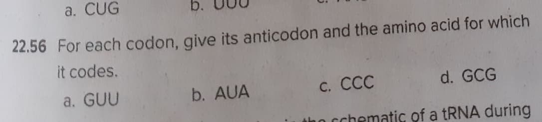 a. CUG
b.
22.56 For each codon, give its anticodon and the amino acid for which
it codes.
a. GUU
b. AUA
C. CCC
d. GCG
schematic of a RNA during
