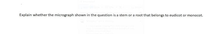 Explain whether the micrograph shown in the question is a stem or a root that belongs to eudicot or monocot.
