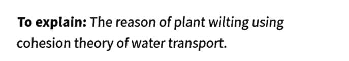 To explain: The reason of plant wilting using
cohesion theory of water transport.
