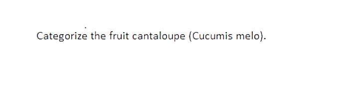 Categorize the fruit cantaloupe (Cucumis melo).
