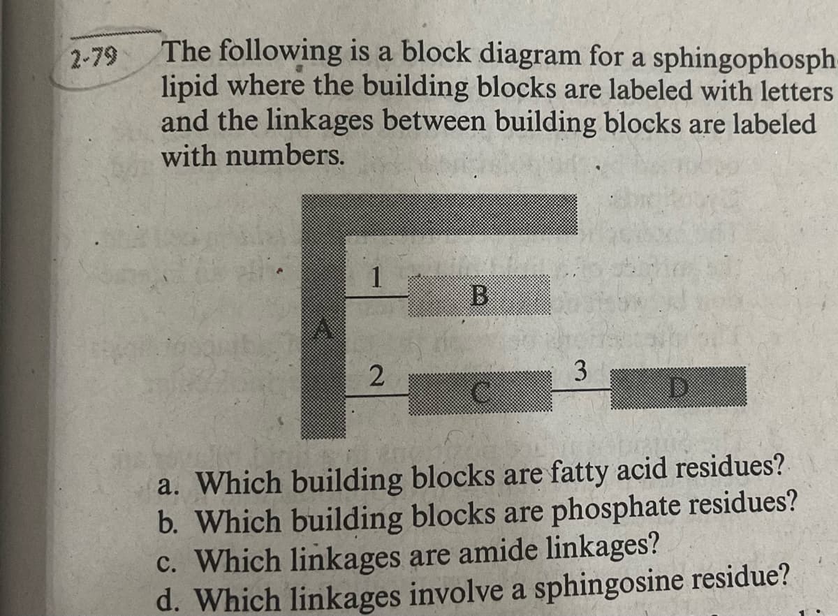 2-79
The following is a block diagram for a sphingophosph
lipid where the building blocks are labeled with letters
and the linkages between building blocks are labeled
with numbers.
A
1
2
B
3
a. Which building blocks are fatty acid residues?
b. Which building blocks are phosphate residues?
c. Which linkages are amide linkages?
d. Which linkages involve a sphingosine residue?