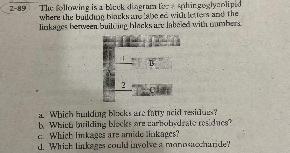 2-89
The following is a block diagram for a sphingoglycolipid
where the building blocks are labeled with letters and the
linkages between building blocks are labeled with numbers.
A
1
2
B
C
a. Which building blocks are fatty acid residues?
b. Which building blocks are carbohydrate residues?
c. Which linkages are amide linkages?
d. Which linkages could involve a monosaccharide?