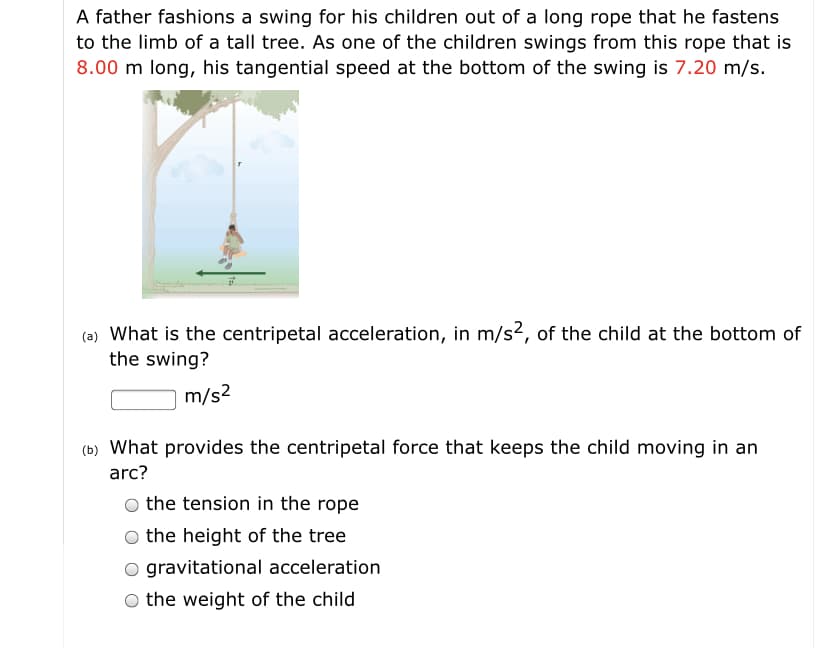 A father fashions a swing for his children out of a long rope that he fastens
to the limb of a tall tree. As one of the children swings from this rope that is
8.00 m long, his tangential speed at the bottom of the swing is 7.20 m/s.
(a) What is the centripetal acceleration, in m/s?, of the child at the bottom of
the swing?
m/s2
(b) What provides the centripetal force that keeps the child moving in an
arc?
the tension in the rope
the height of the tree
O gravitational acceleration
O the weight of the child
