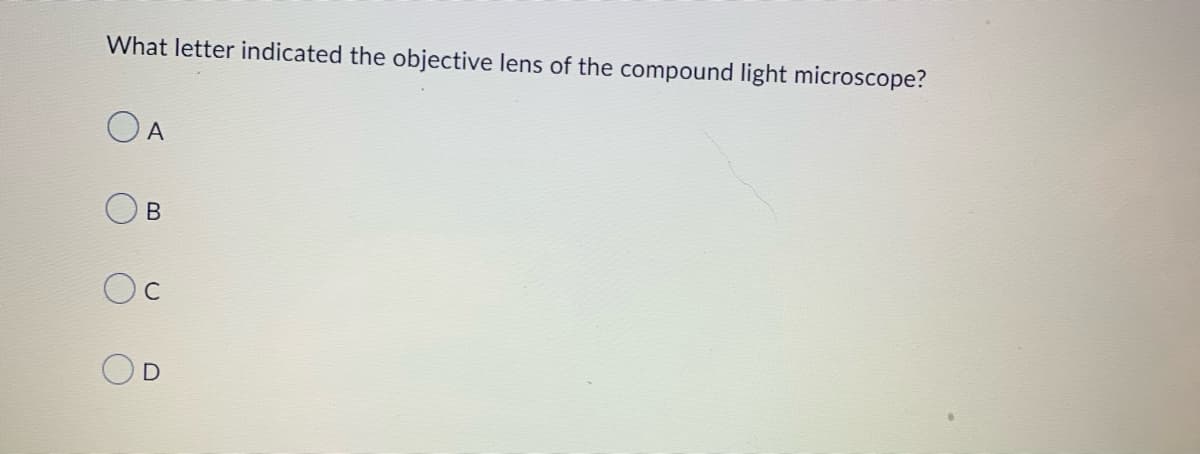 What letter indicated the objective lens of the compound light microscope?
A
B
C
D