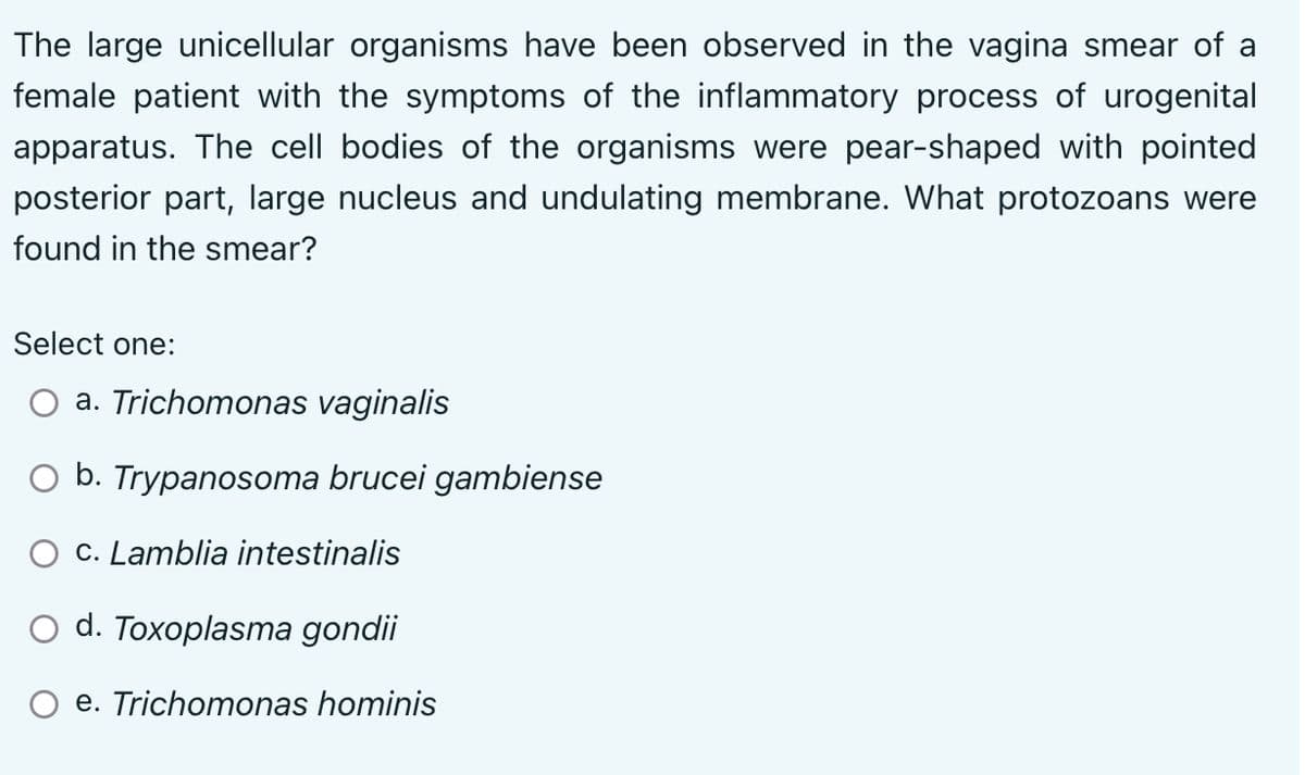 The large unicellular organisms have been observed in the vagina smear of a
female patient with the symptoms of the inflammatory process of urogenital
apparatus. The cell bodies of the organisms were pear-shaped with pointed
posterior part, large nucleus and undulating membrane. What protozoans were
found in the smear?
Select one:
a. Trichomonas vaginalis
O b. Trypanosoma brucei gambiense
O c. Lamblia intestinalis
d. Toxoplasma gondii
e. Trichomonas hominis