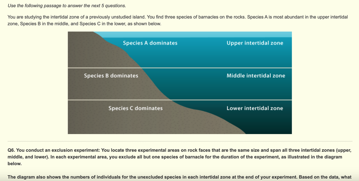 Use the following passage to answer the next 5 questions.
You are studying the intertidal zone of a previously unstudied island. You find three species of barnacles on the rocks. Species A is most abundant in the upper intertidal
zone, Species B in the middle, and Species C in the lower, as shown below.
Species A dominates
Upper intertidal zone
Species B dominates
Middle intertidal zone
Species C dominates
Lower intertidal zone
Q6. You conduct an exclusion experiment: You locate three experimental areas on rock faces that are the same size and span all three intertidal zones (upper,
middle, and lower). In each experimental area, you exclude all but one species of barnacle for the duration of the experiment, as illustrated in the diagram
below.
The diagram also shows the numbers of individuals for the unexcluded species in each intertidal zone at the end of your experiment. Based on the data, what
